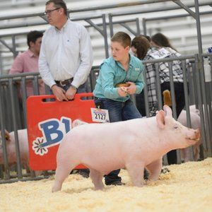 Meet your Posher, Anson